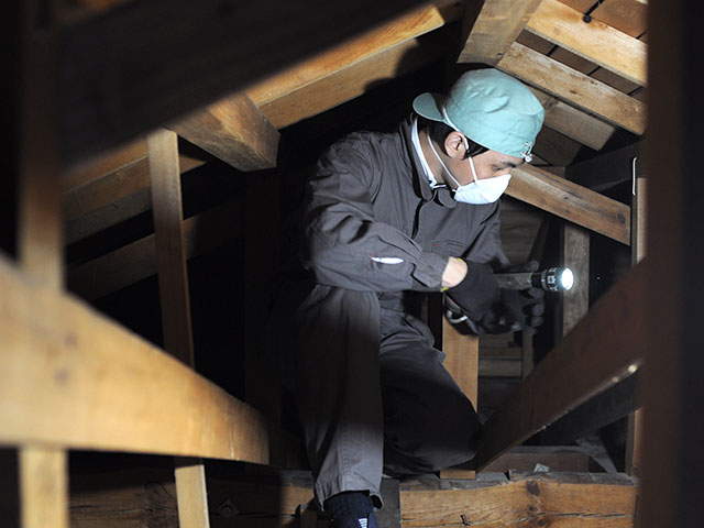 屋根裏は奥までしっかり確認