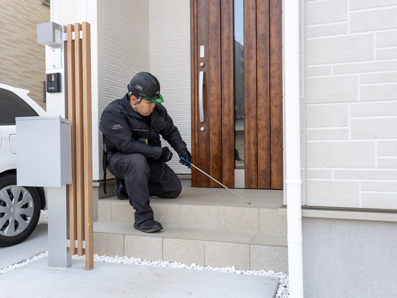 現地での調査報告